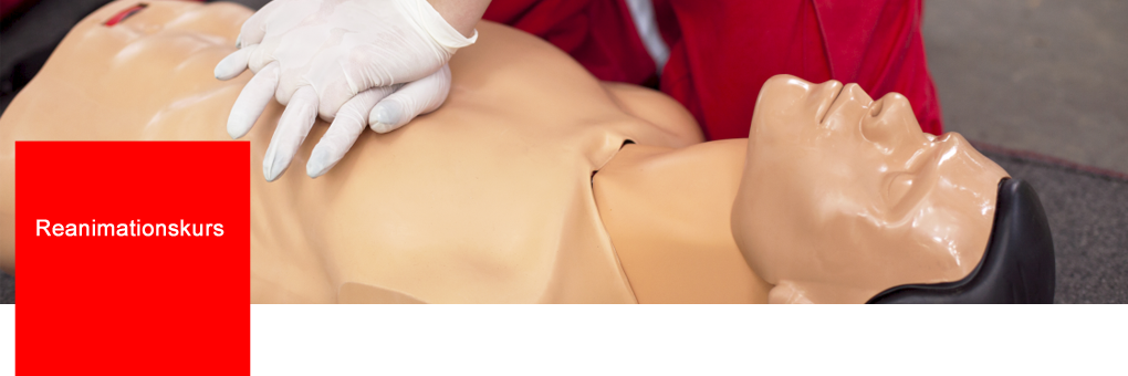 BLS-AED-SRC / Reanimationskurs